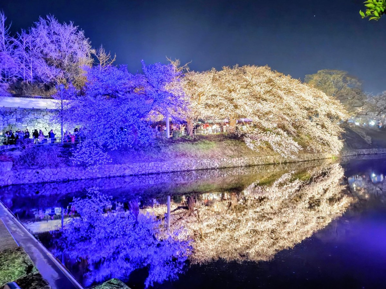 写真7